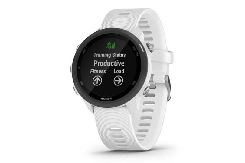 test forerunner 245