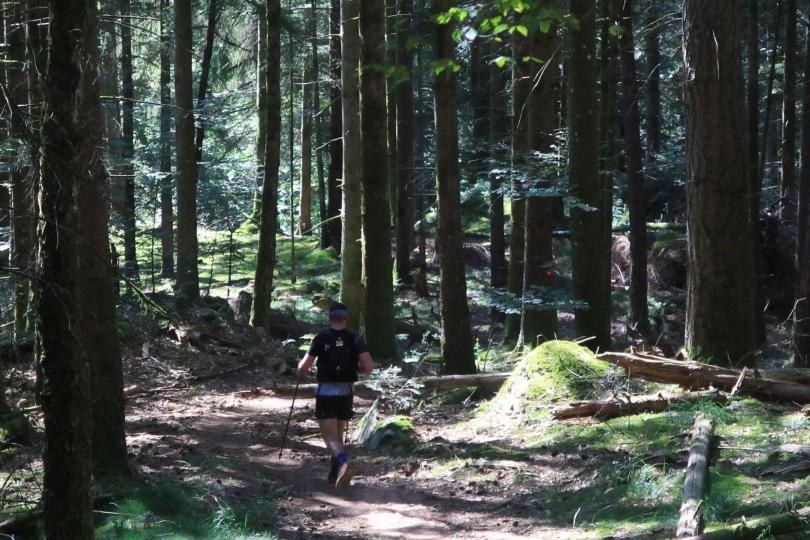 Les sentiers de l'Infernal Trail des Vosges