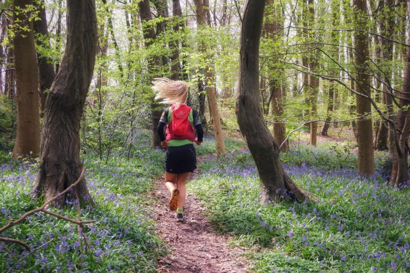 La Station de Trail Rouen-Seine-Eure, bois de Belbeuf, Jacynthes des bois