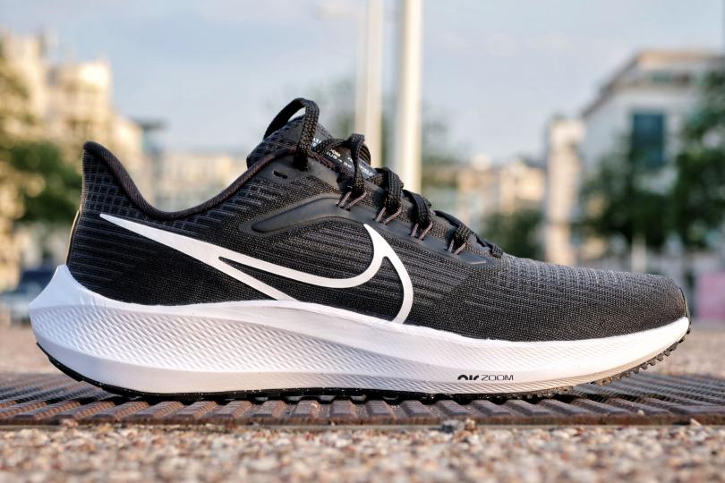 La Nike Air Zoom Pegasus 39 de profil