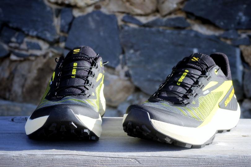 Les Salomon Genesis