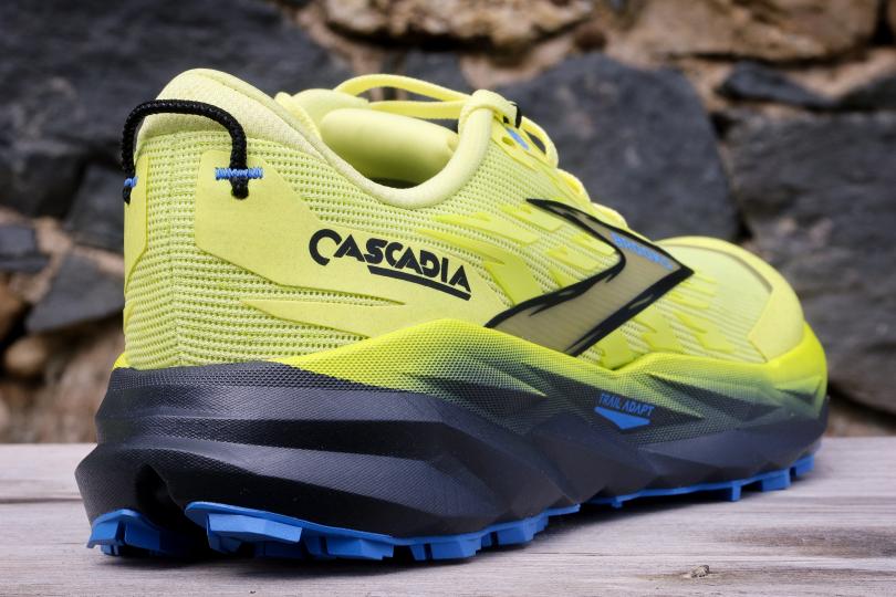 La talon de la Brooks Cascadia 19