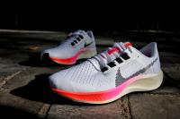 Les Nike Pegasus 38