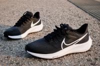 Les Nike Air Zoom Pegasus 39