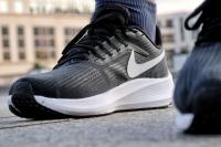 Les Nike Air Zoom Pegasus 39