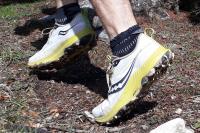 Test des Saucony Peregrine 13