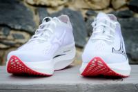 Les Mizuno Wave Rebellion Pro 2