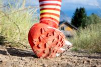 Le test de la Salomon S/Lab Pulsar 4