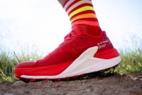 Le test de la Salomon S/Lab Pulsar 4