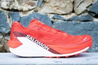 Vue latérale de la Salomon  S/Lab Pulsar 4