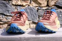 Les Hoka Challenger 8