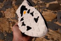 Présentation des Hoka SpeedGoat 7